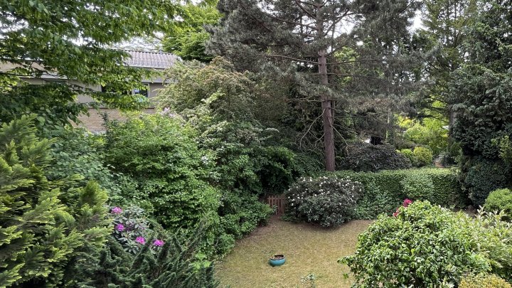 Am Ende einer Sackgasse - bestens gelegener Familientraum mit viel Raum für Ihre Wünsche