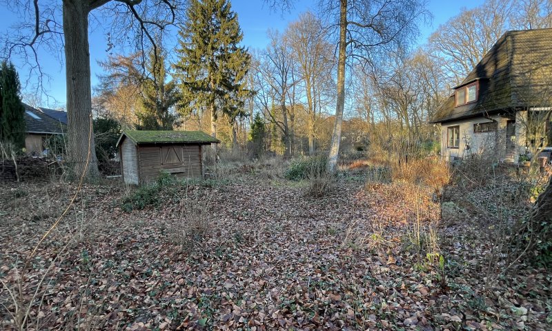 Natur pur direkt nebenan und dennoch zu Fuß zur U1 – Idyllisches Grundstück in ruhiger Lage