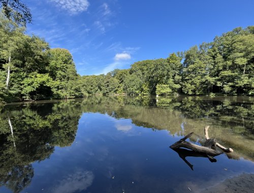 Idylle gleich nebenan