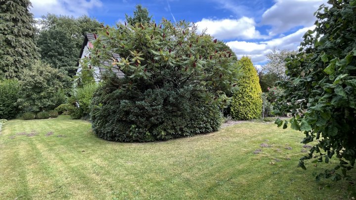 Hier wird Ihr Traumhaus Wirklichkeit - herrlich sonnig, naturnah und idyllischer Garten