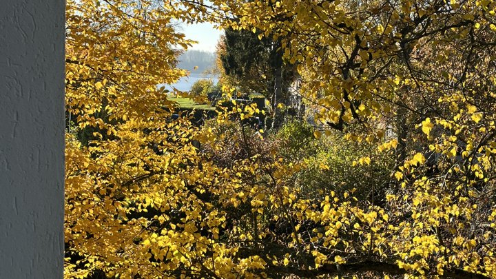 Vom Balkon einen Elbblick erhaschen -ideal geschnitten, schön hell sowie großer Keller und Stellplatz inkl.