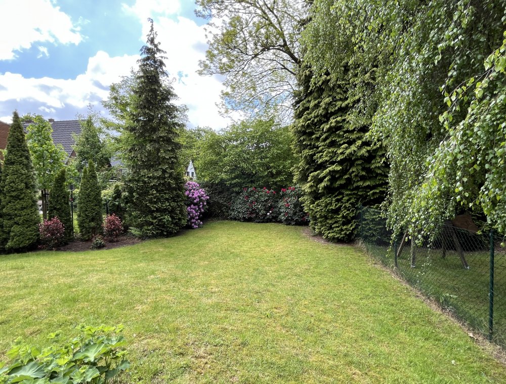 Blick in den Garten