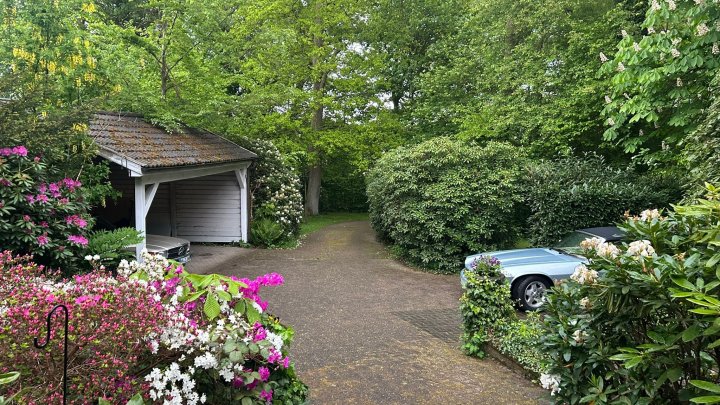 Keine Käufercourtage - Liebevoll gestaltetes Zuhause mit Garten wie ein kleiner Park
