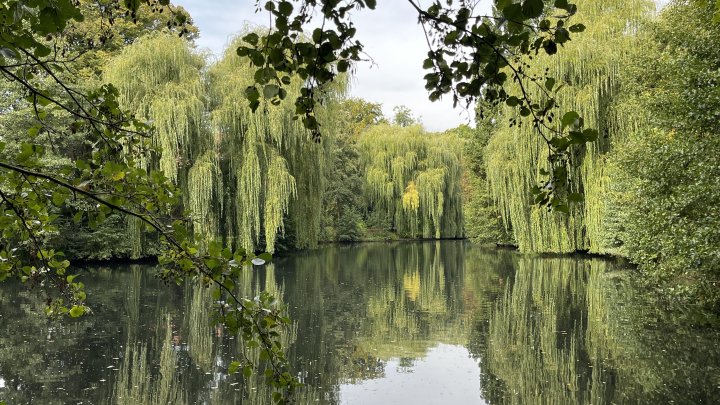 Ein Katzensprung zur Osterstraße - Gemütliches Nest am Park mit Südloggia und Kaminofen